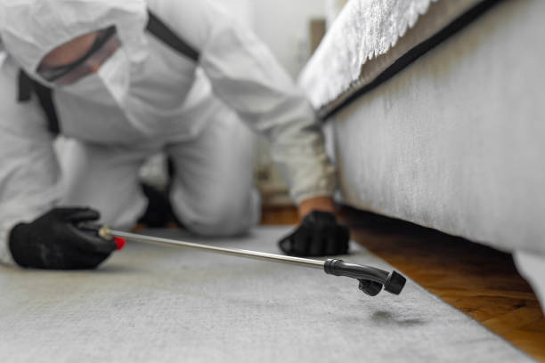 Professional Pest Control technician working in Montana City, MT