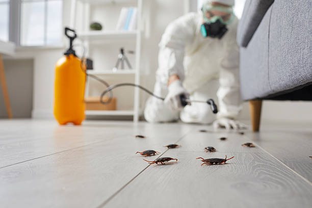 Trusted Cockroach Control service in Montana City, MT - Nex Pest Control