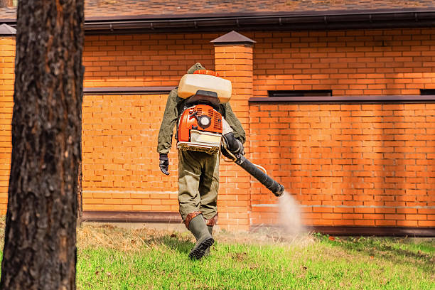 Trusted Fumigation Services service in Montana City, MT - Nex Pest Control